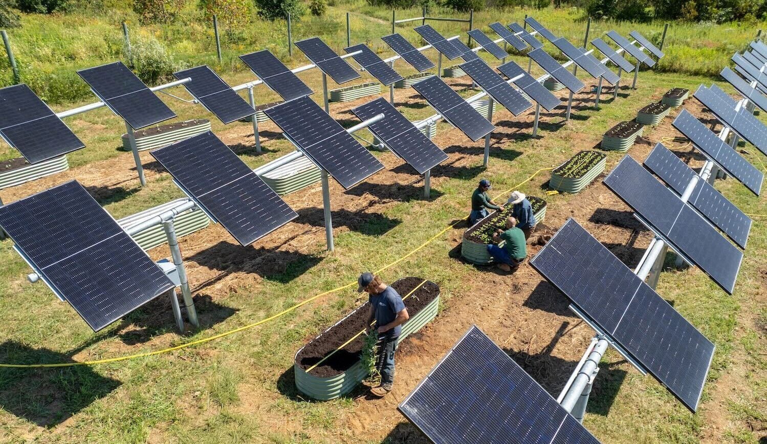Can farmland thrive with solar? This Virginia… | Canary Media